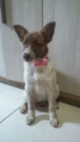 Bella