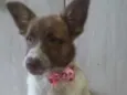 Bella