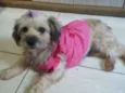 Belinha