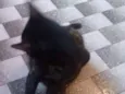 SOL