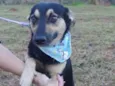 Júlio