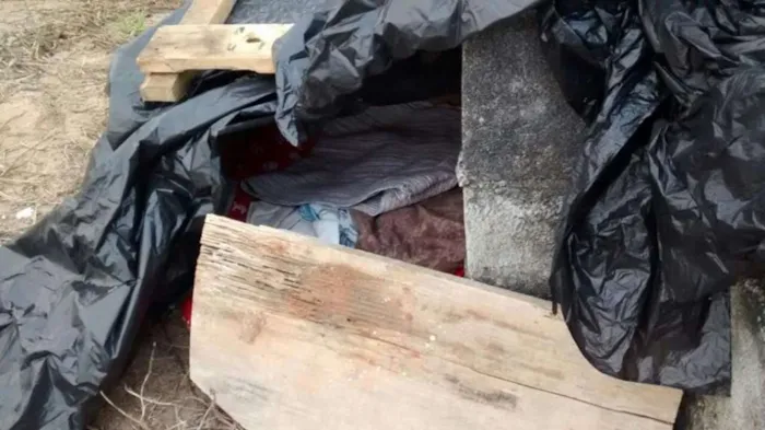 Cachorro ra a Sem raça idade 1 ano nome Cenourinha