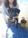 Príncesa
