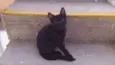 miúda