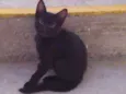 miúda