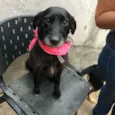 Tequila