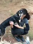 Lolita