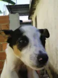 nanica e chorona