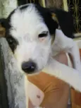 nanica e chorona