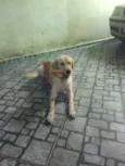 Bolth