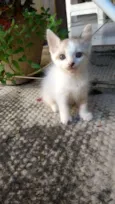 Lili