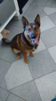 Zeus