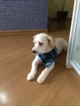 Jimmy