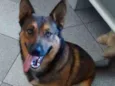 Zeus