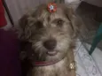 Nina