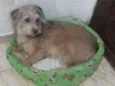 Nina