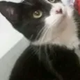 Mia