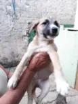 sem nomes