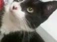Mia
