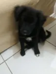 Laila