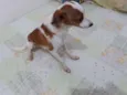 Fred 
