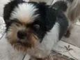 Bruninho 