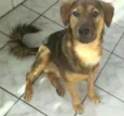 Eddie