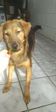 Eddie