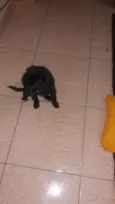 Sebastian
