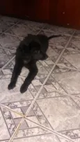 Sebastian