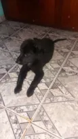 Sebastian