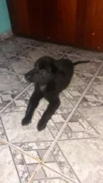 Sebastian