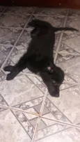 Sebastian