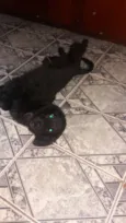 Sebastian