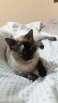Nina