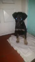 Belga