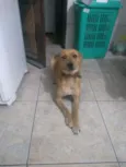 Bina