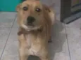 Bina
