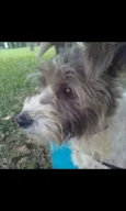 Caio