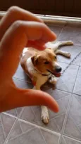 Paçoca