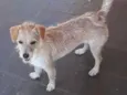 Nina