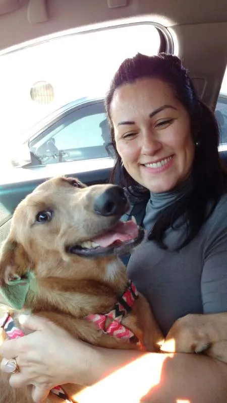 Cachorro ra a SRD idade 1 ano nome Avatar
