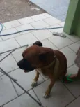Rockie