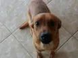 Fred