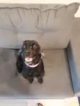Milly
