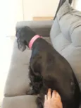 Milly