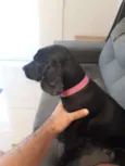 Milly