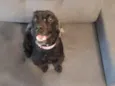 Milly