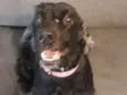 Milly
