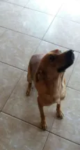 Fred